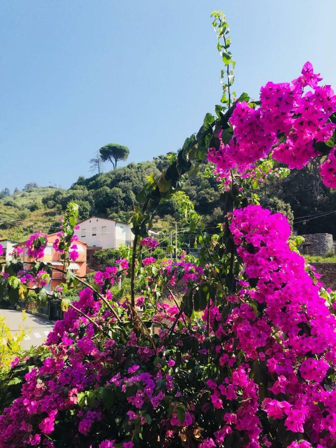 Appartamento Le Conchiglie Monterosso Al Mare Exterior photo