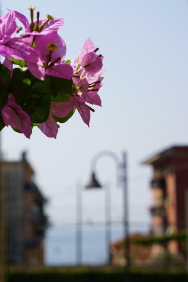Appartamento Le Conchiglie Monterosso Al Mare Exterior photo